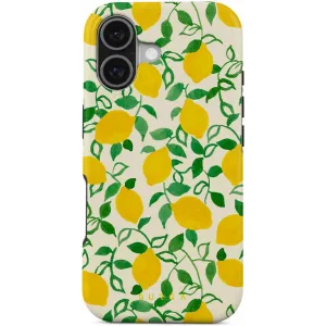 Burga Tough Zadní kryt pouzdro s MagSafe pro Apple iPhone 17 - Capri